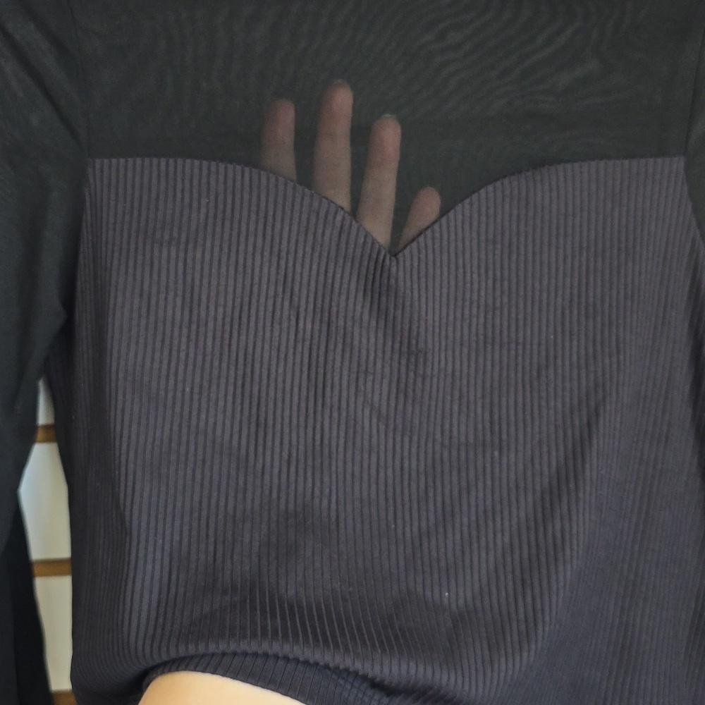 Mesh Ribbed Long Sleeve Crop Top - Picture 3 of 4